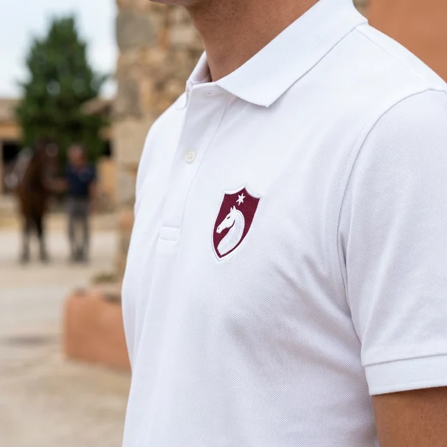 Escudo en el pecho de un polo